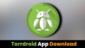 Read more about the article All in one Download App | Torrdroid App